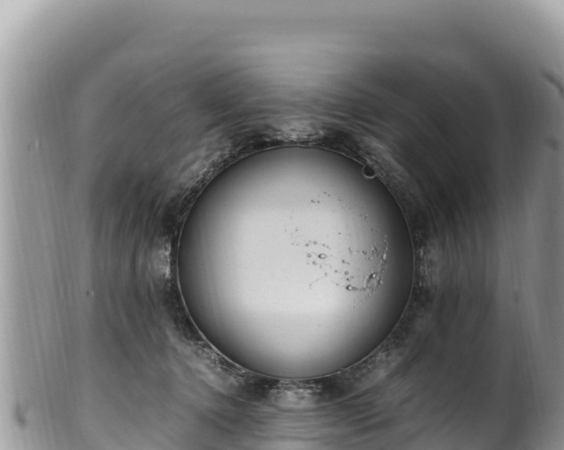 X0000102250368200808011316