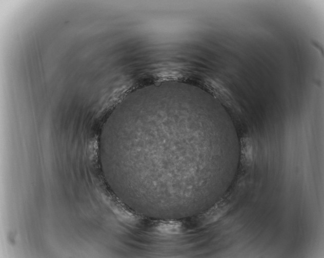 X0000102250369200808011316