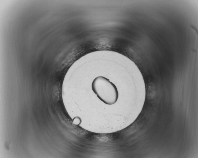 X0000102250370200808011316