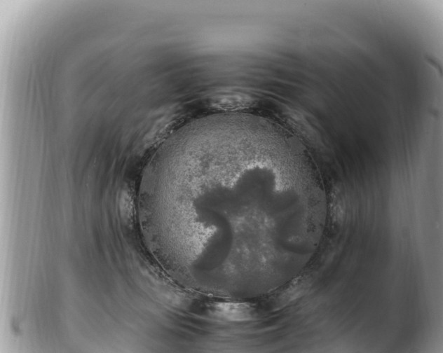 X0000102250371200808011316