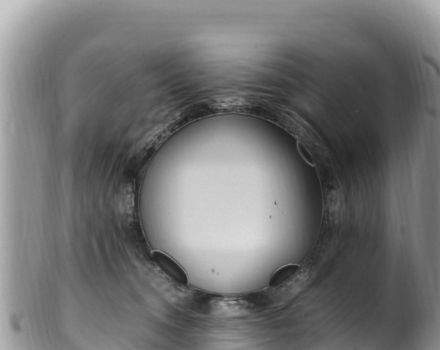 X0000102250372200808011316