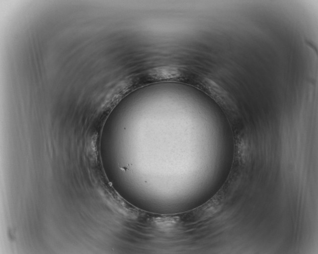 X0000102250373200808011316