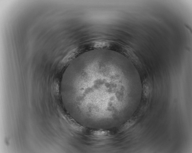 X0000102250375200808011316