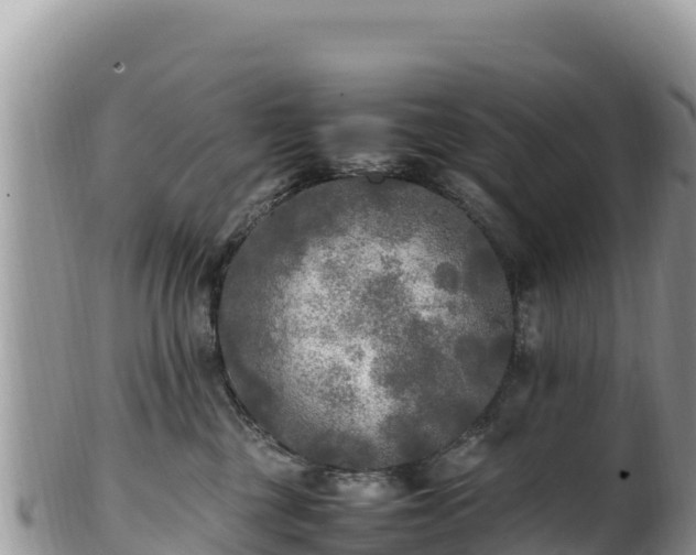 X0000102250377200808011316