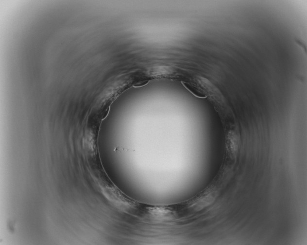 X0000102250380200808011316