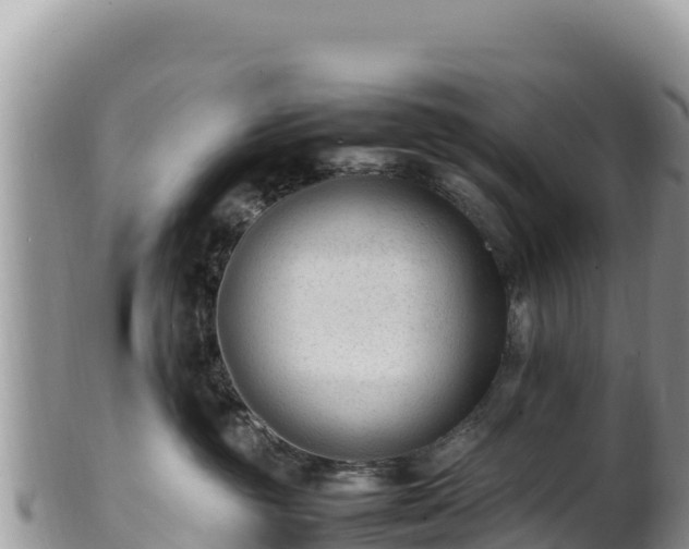 X0000102250381200808011316