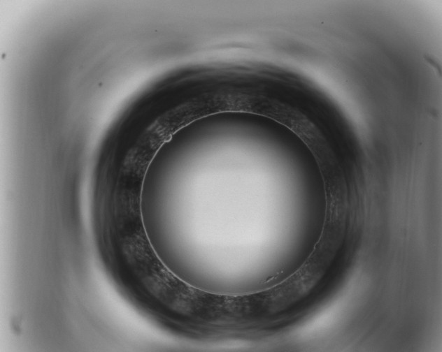 X0000102250383200808011316