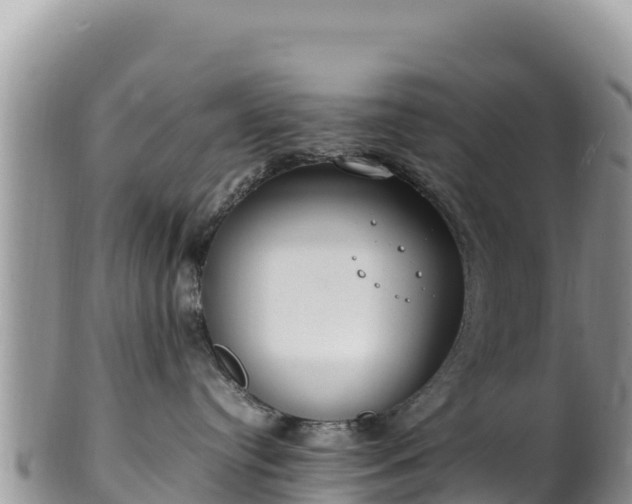 X0000102250384200808011316