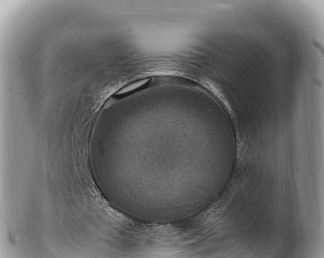 X0000102250385200808011316