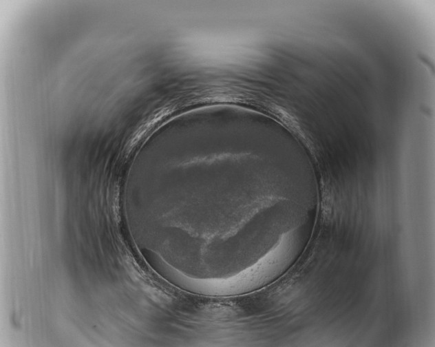 X0000102250386200808011316