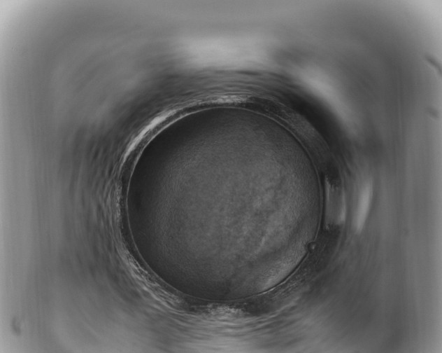 X0000102250387200808011316