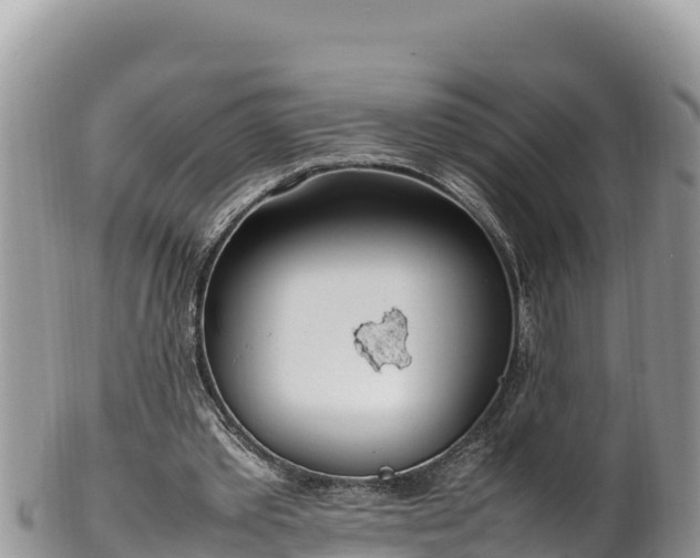 X0000102250389200808011316