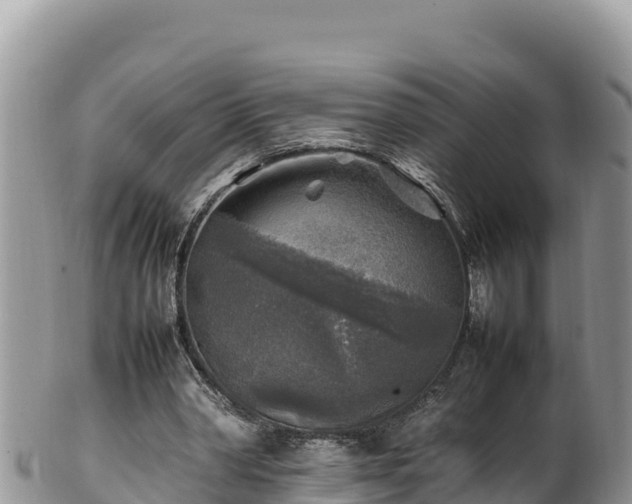 X0000102250390200808011316