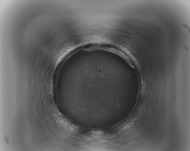 X0000102250391200808011316