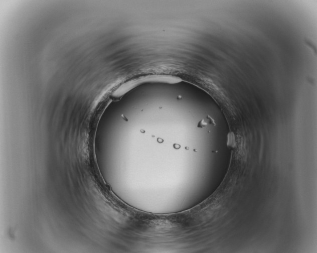 X0000102250392200808011316