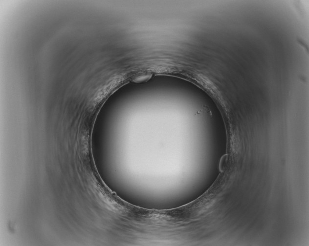 X0000102250393200808011316