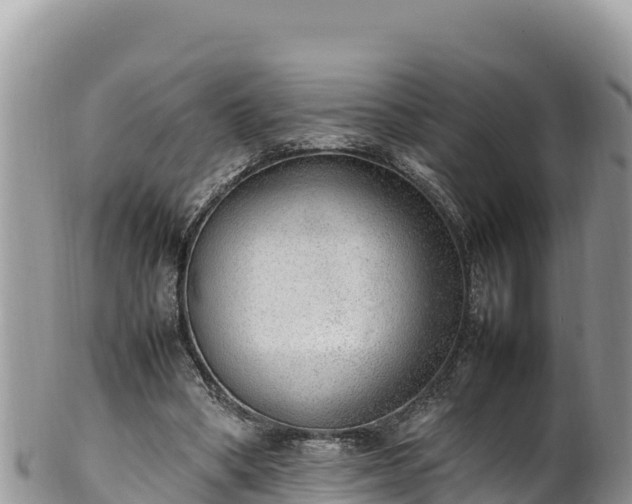 X0000102250394200808011316