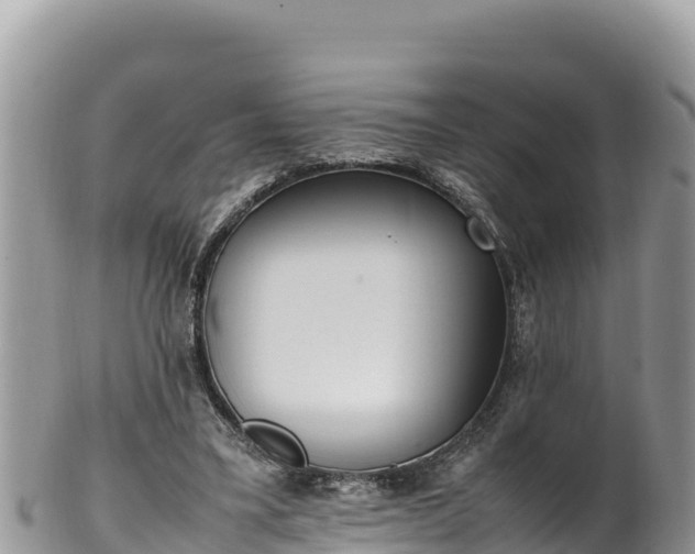 X0000102250395200808011315