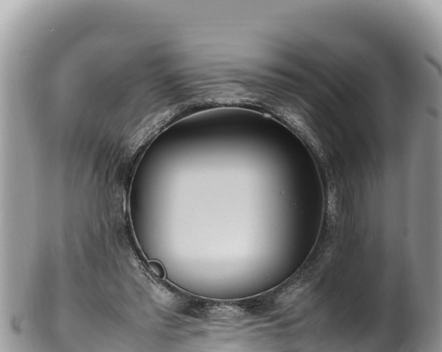 X0000102250397200808011315