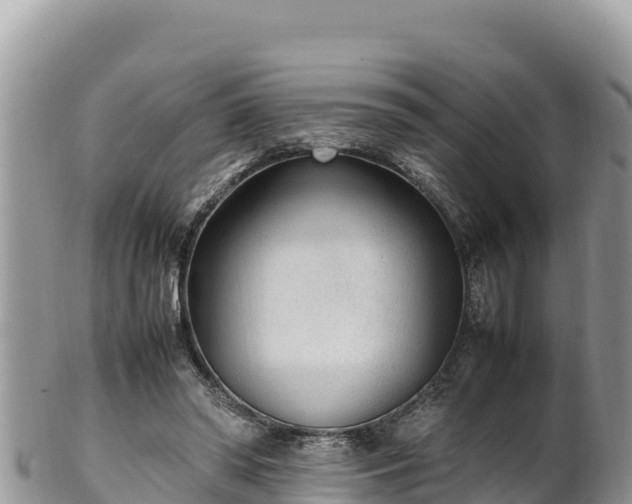 X0000102250398200808011315