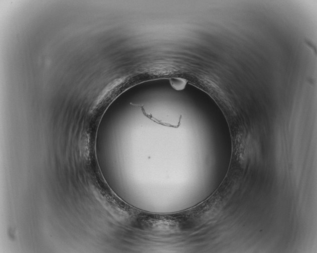 X0000102250400200808011315