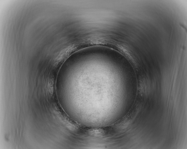 X0000102250402200808011315