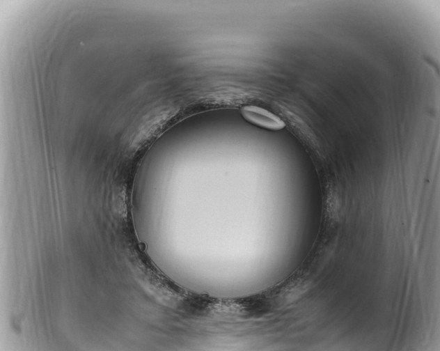 X0000102250403200808011315