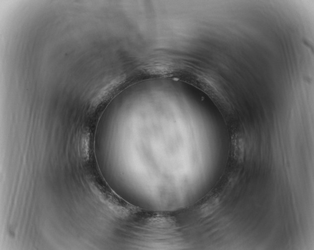 X0000102250404200808011315