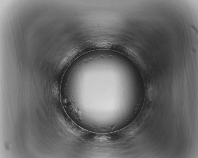 X0000102250407200808011315