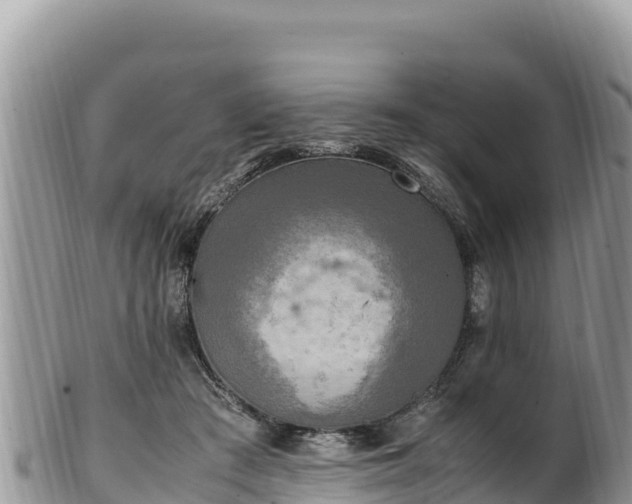 X0000102250409200808011315