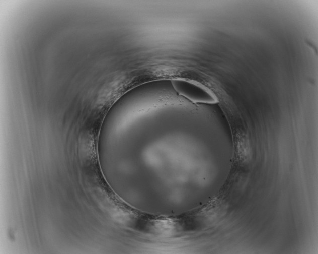 X0000102250411200808011315