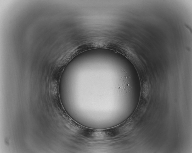 X0000102250413200808011315