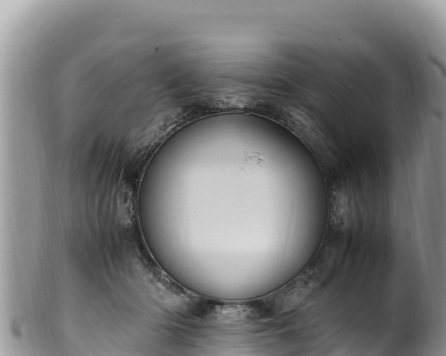 X0000102250414200808011315