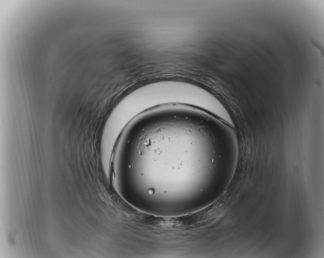 X0000102250415200808011315