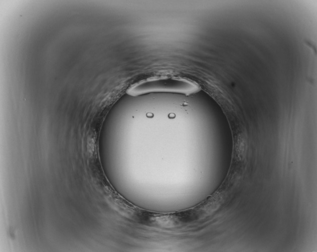 X0000102250417200808011315