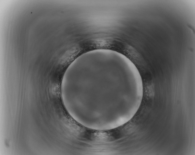 X0000102250419200808011315