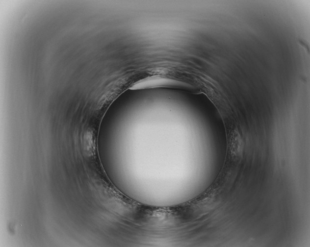 X0000102250420200808011315