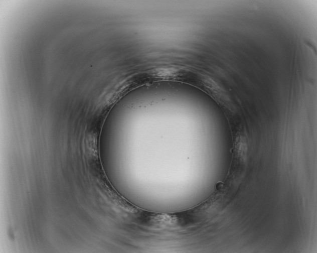 X0000102250421200808011315