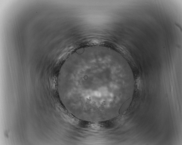 X0000102250423200808011315