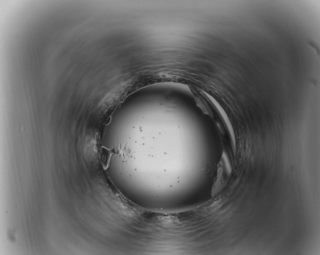 X0000102250424200808011315