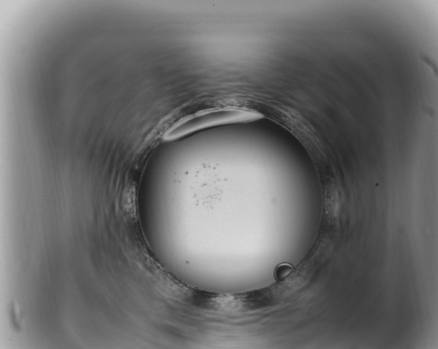 X0000102250425200808011315