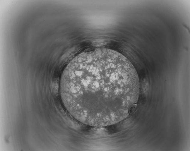 X0000102250427200808011315