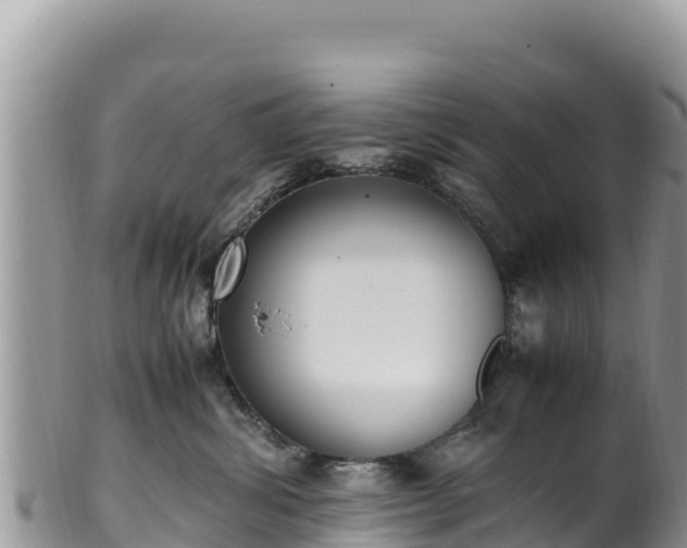 X0000102250428200808011315