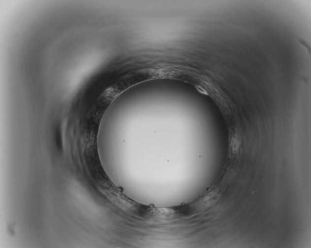 X0000102250429200808011315