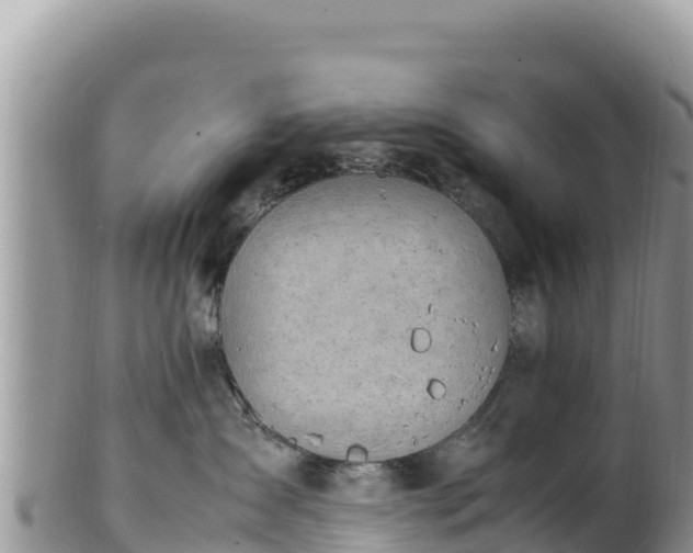 X0000102250431200808011315