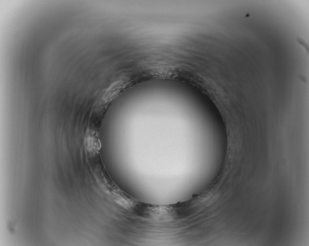 X0000102250432200808011315