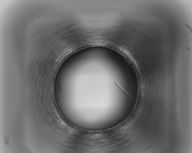 X0000102250433200808011314