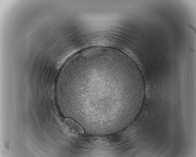 X0000102250434200808011314