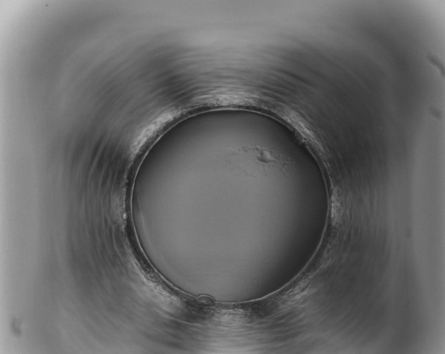 X0000102250438200808011314