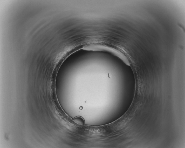 X0000102250439200808011314